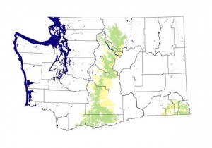 Western Fence Lizard Habitat