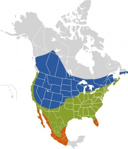 Brown Headed Cowbird Habitat