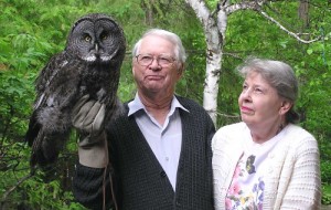 Great Grey Owl Size