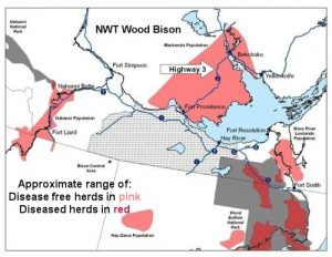 Wood Bison Range