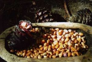 Whitebark Pine Nuts