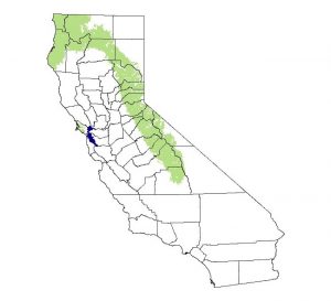 Mountain Beaver Range Map