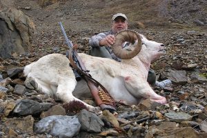 Dall Sheep Hunting